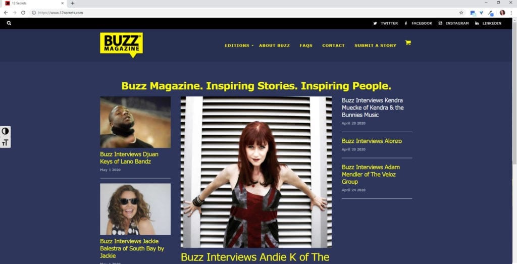 Buzz Magazine Development and Hosting Screenshot