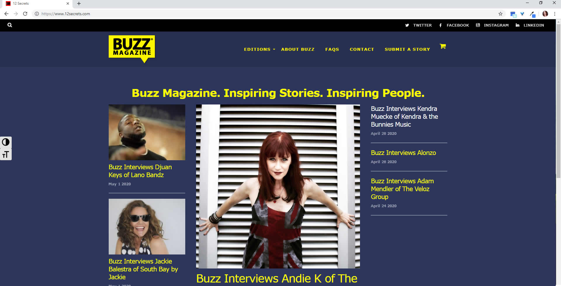 Buzz Magazine Development and Hosting Screenshot